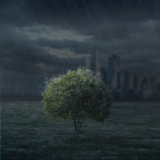 Digital and Green SW Development